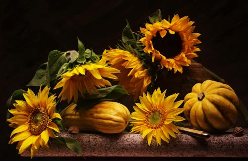 Still Life with Sunflowers