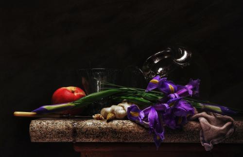 Still life with Irises