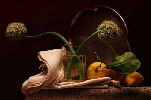 Still life with Allium