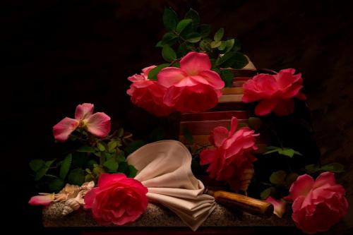 Still life with pink Roses 